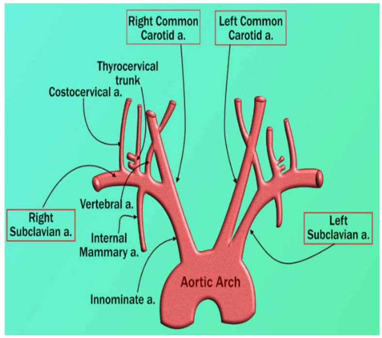 Figure 9