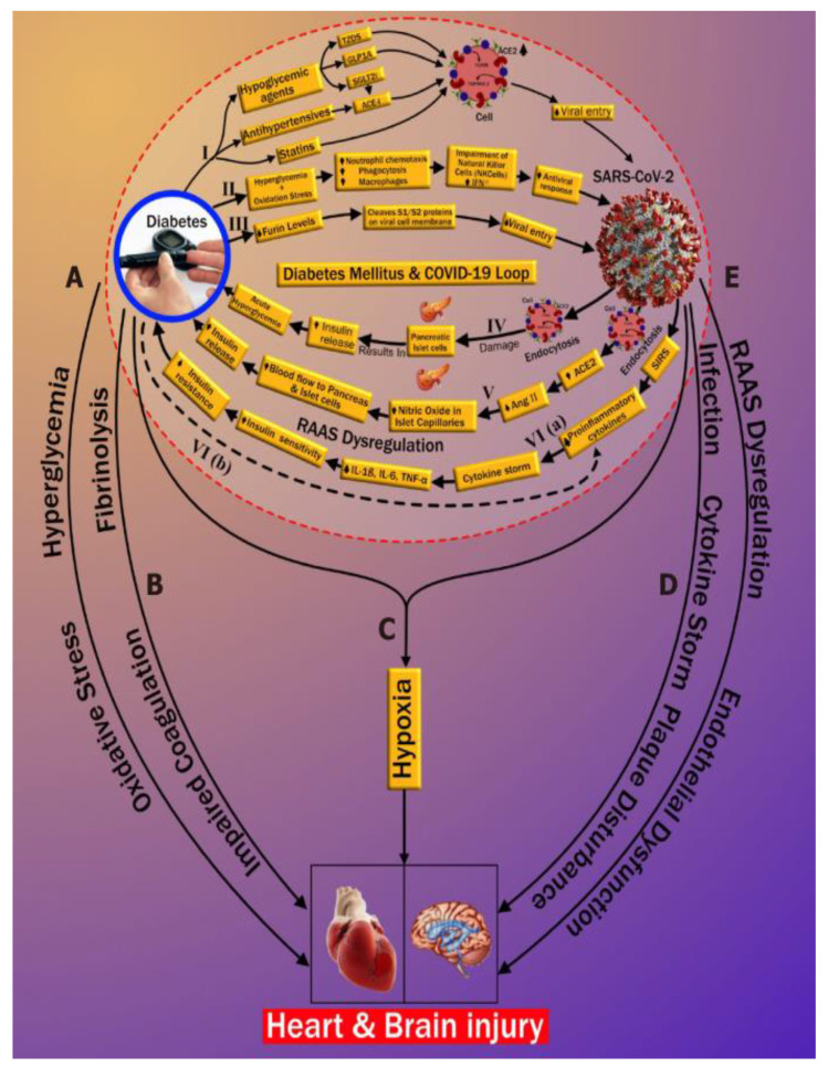 Figure 14