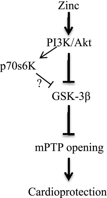 Fig. 8.