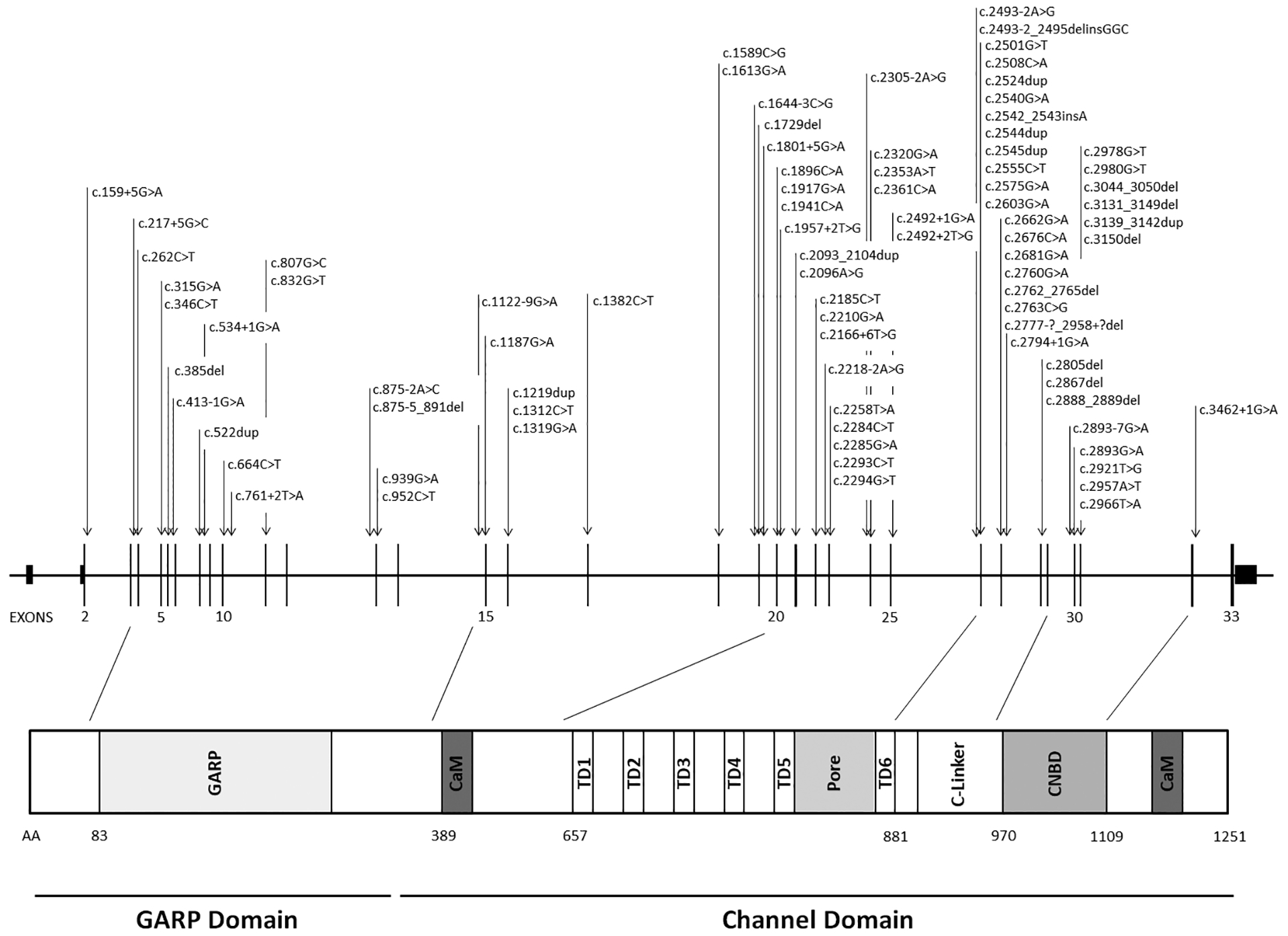 Fig 1.