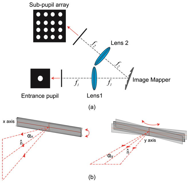 Fig. 1