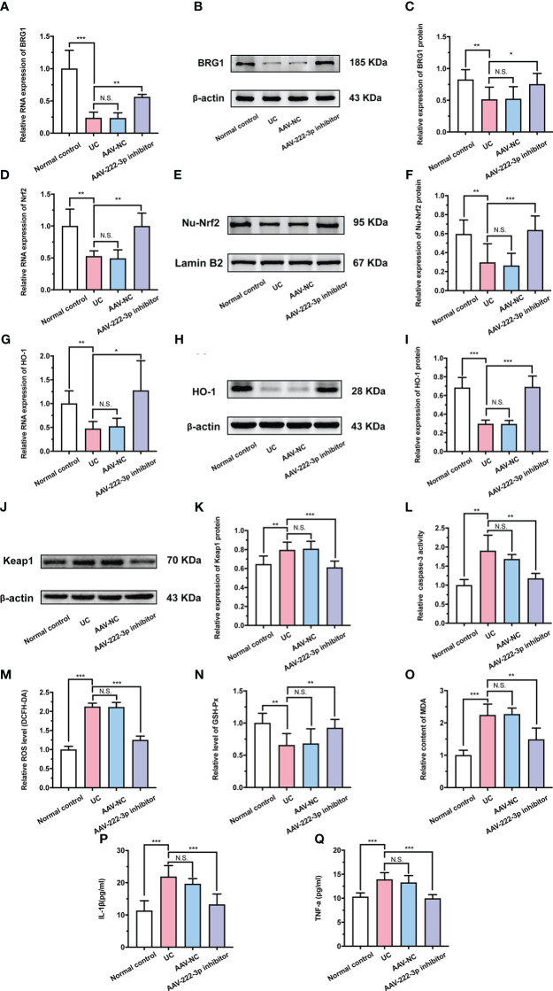 Figure 6