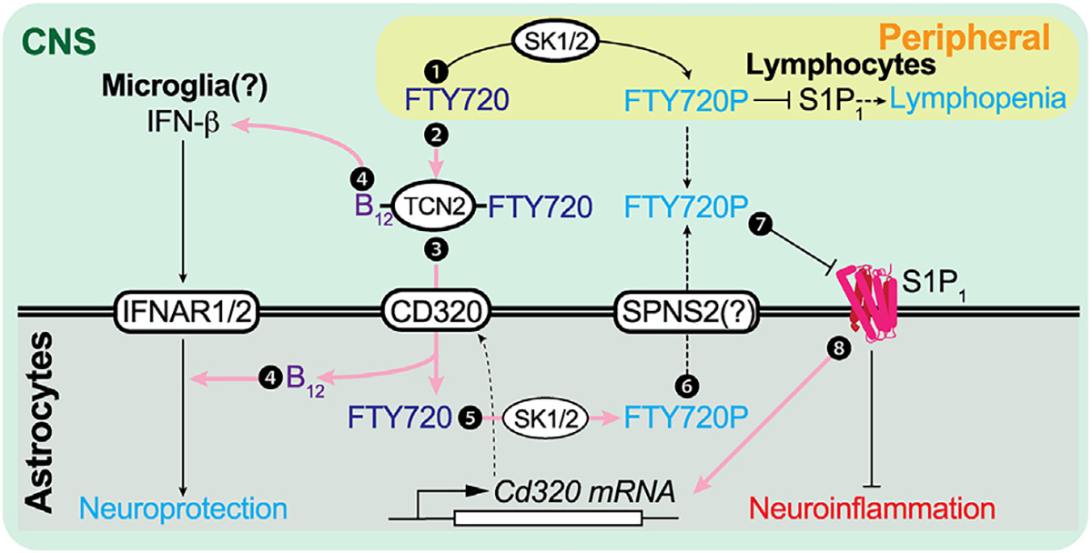 Figure 5.