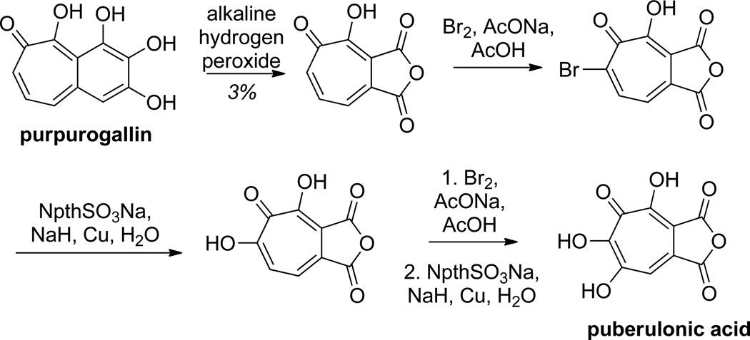 Scheme 3