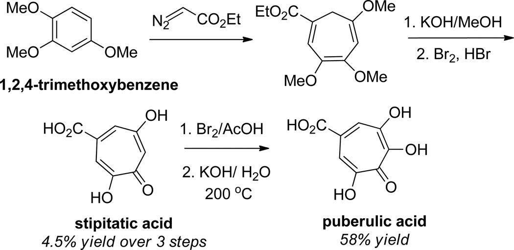 Scheme 4