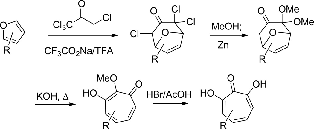 Scheme 8