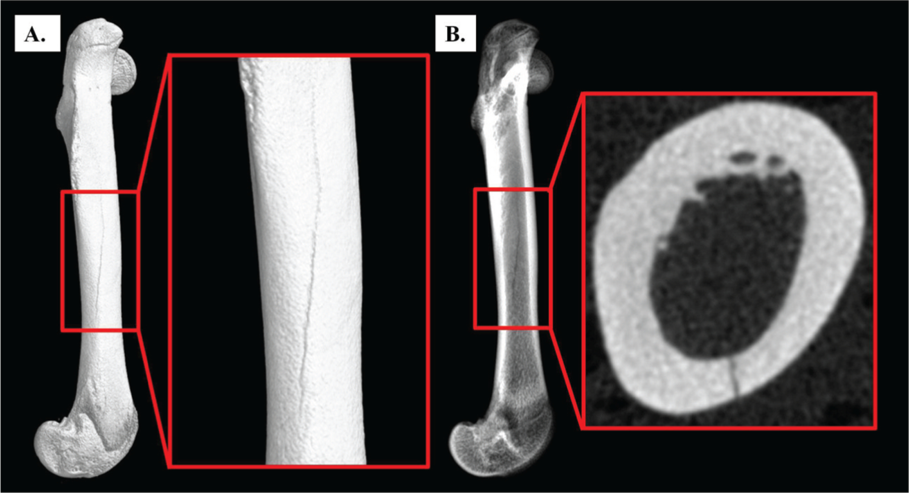 Figure 2A–B.