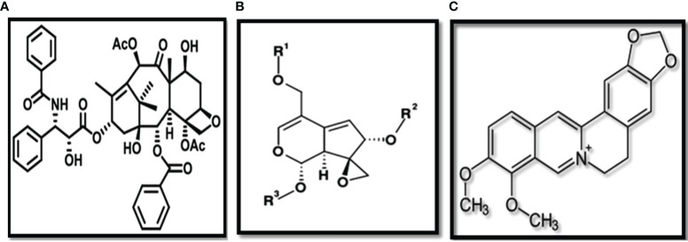 Figure 8