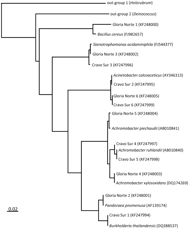 Figure 1