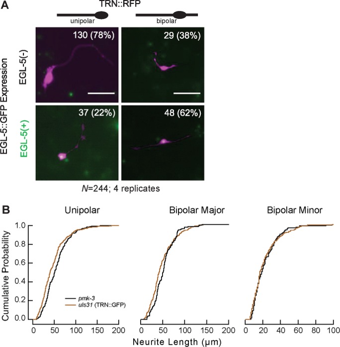 FIGURE 6: