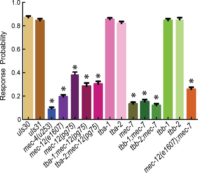 FIGURE 4: