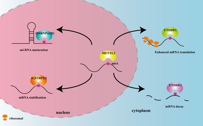 Figure 2