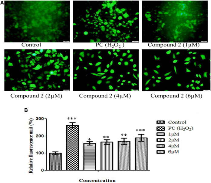 FIGURE 6