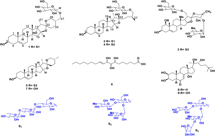 FIGURE 3