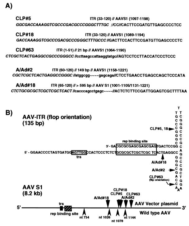 FIG. 5