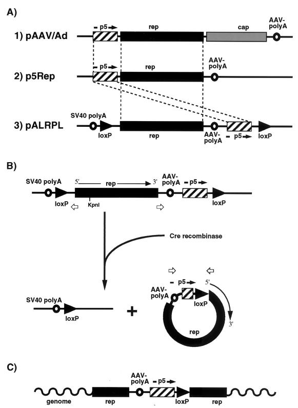FIG. 1