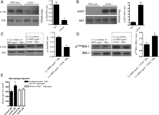 Figure 5