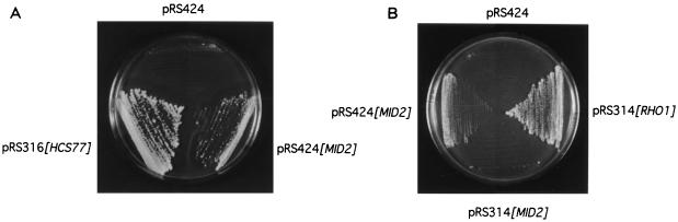 FIG. 1