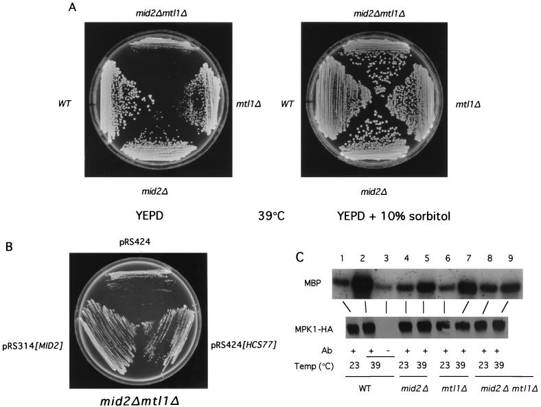 FIG. 6