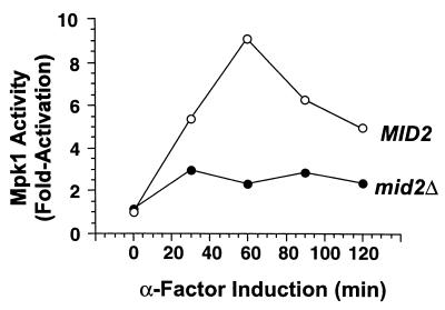 FIG. 7