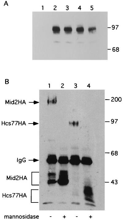 FIG. 8