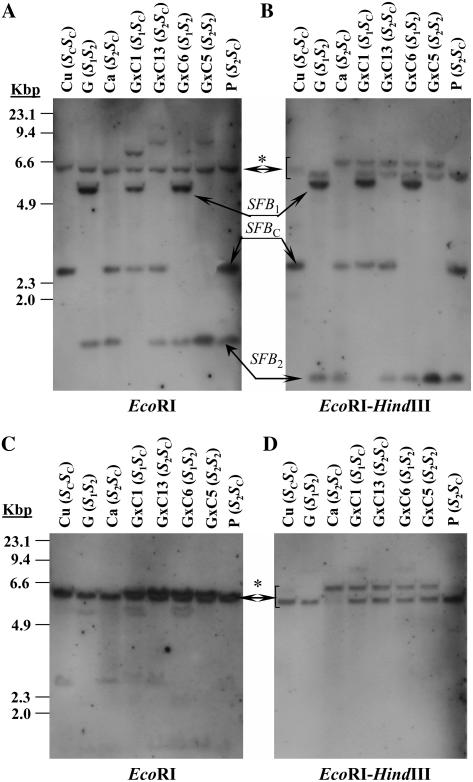 Figure 6.