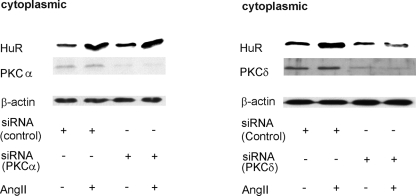 FIG. 8.