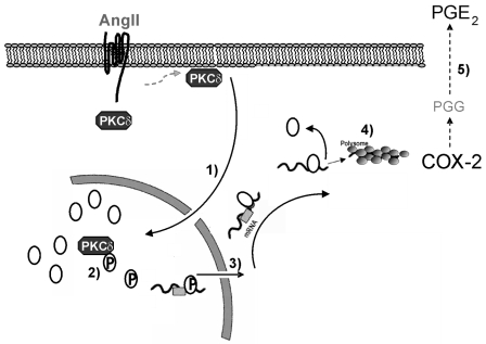 FIG. 11.