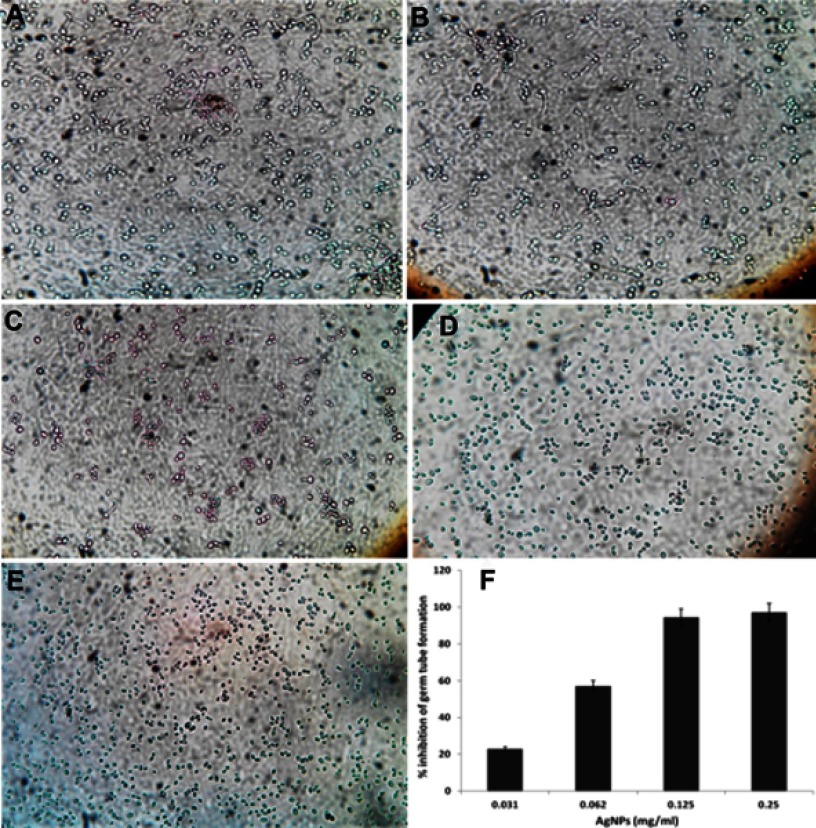 Figure 10