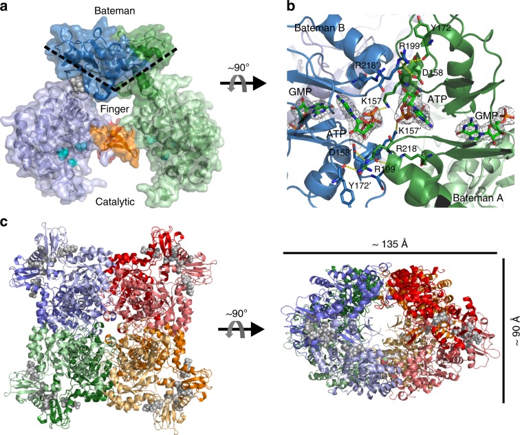 Fig. 7