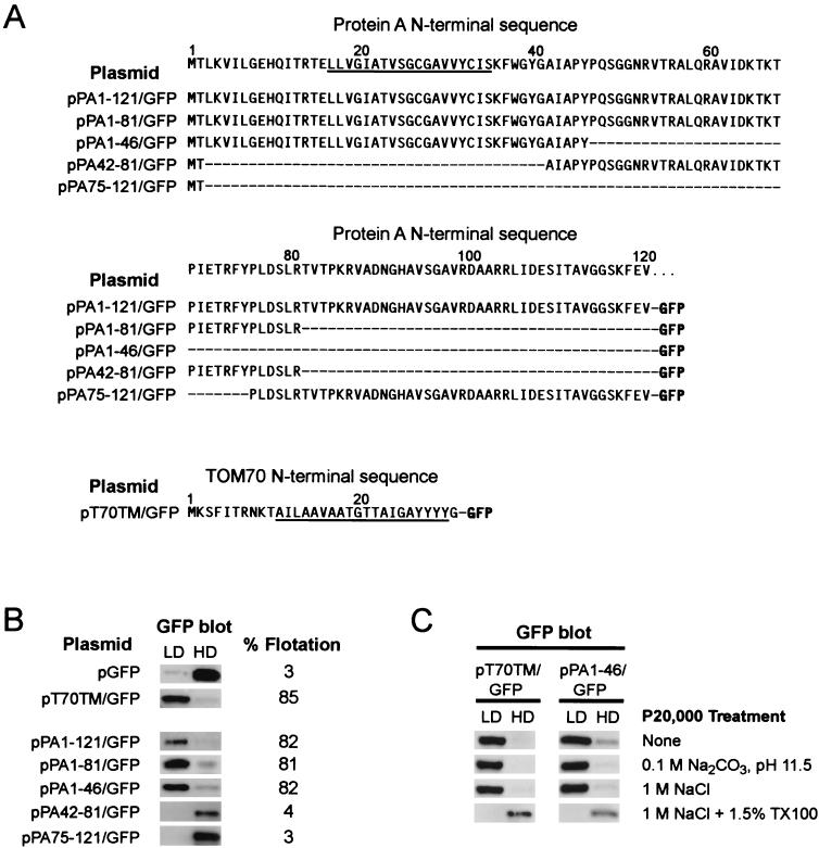 FIG. 8.