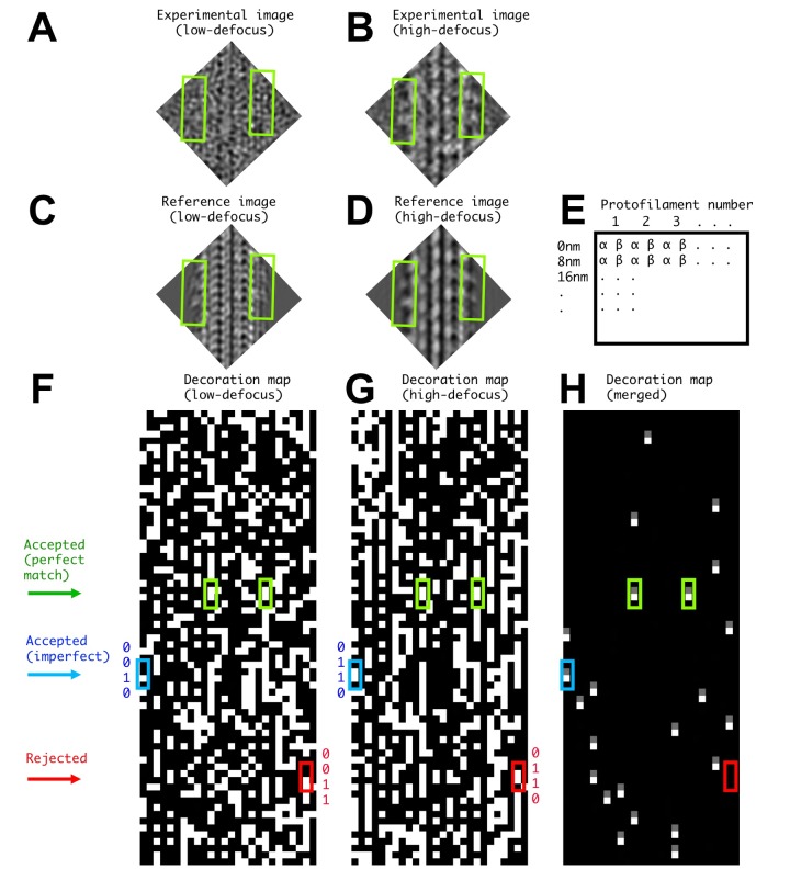 Figure 1—figure supplement 2.