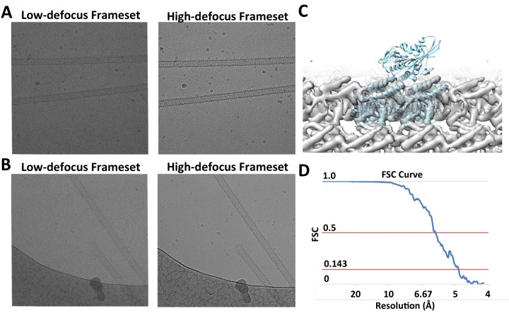 Figure 1—figure supplement 1.