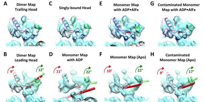 Figure 4—figure supplement 2.