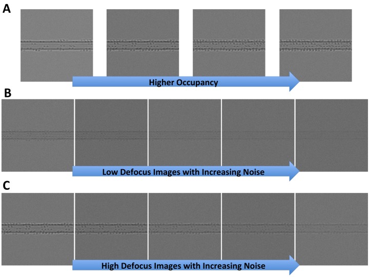 Figure 2—figure supplement 1.