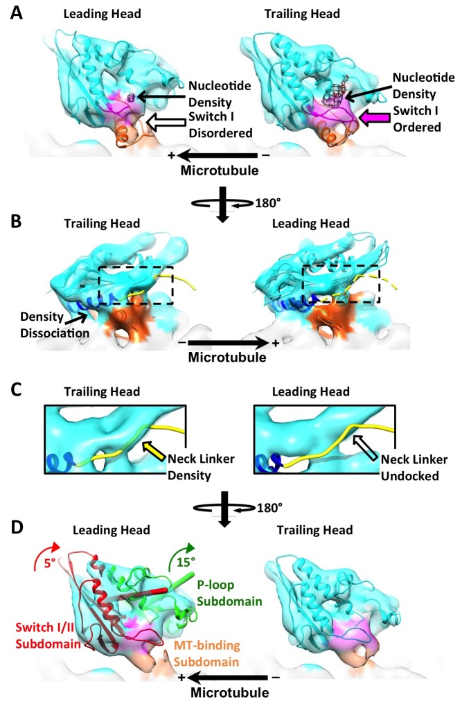 Figure 4—figure supplement 1.