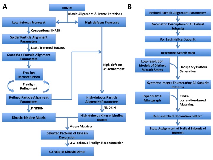 Figure 1—figure supplement 3.