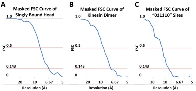 Figure 3—figure supplement 1.