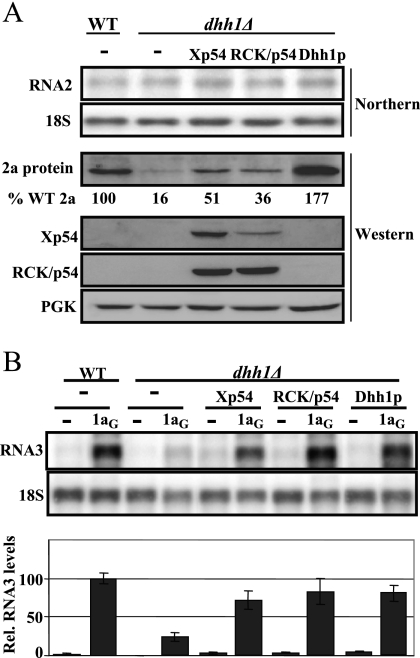 FIG. 2.