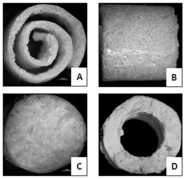 FIGURE 3