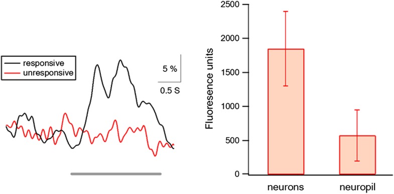 Figure 1—figure supplement 6.