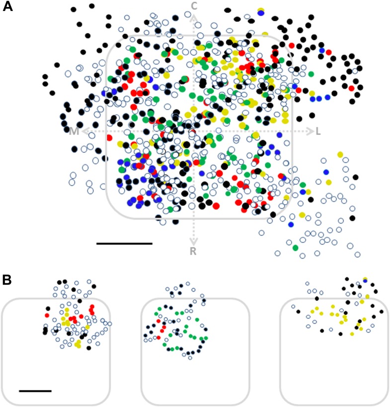 Figure 6—figure supplement 1.