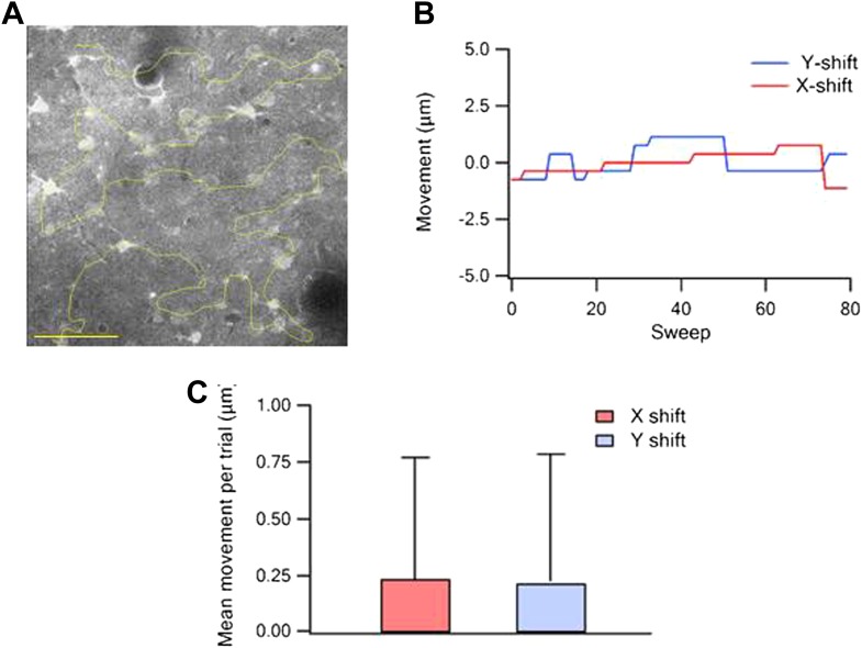 Figure 1—figure supplement 2.