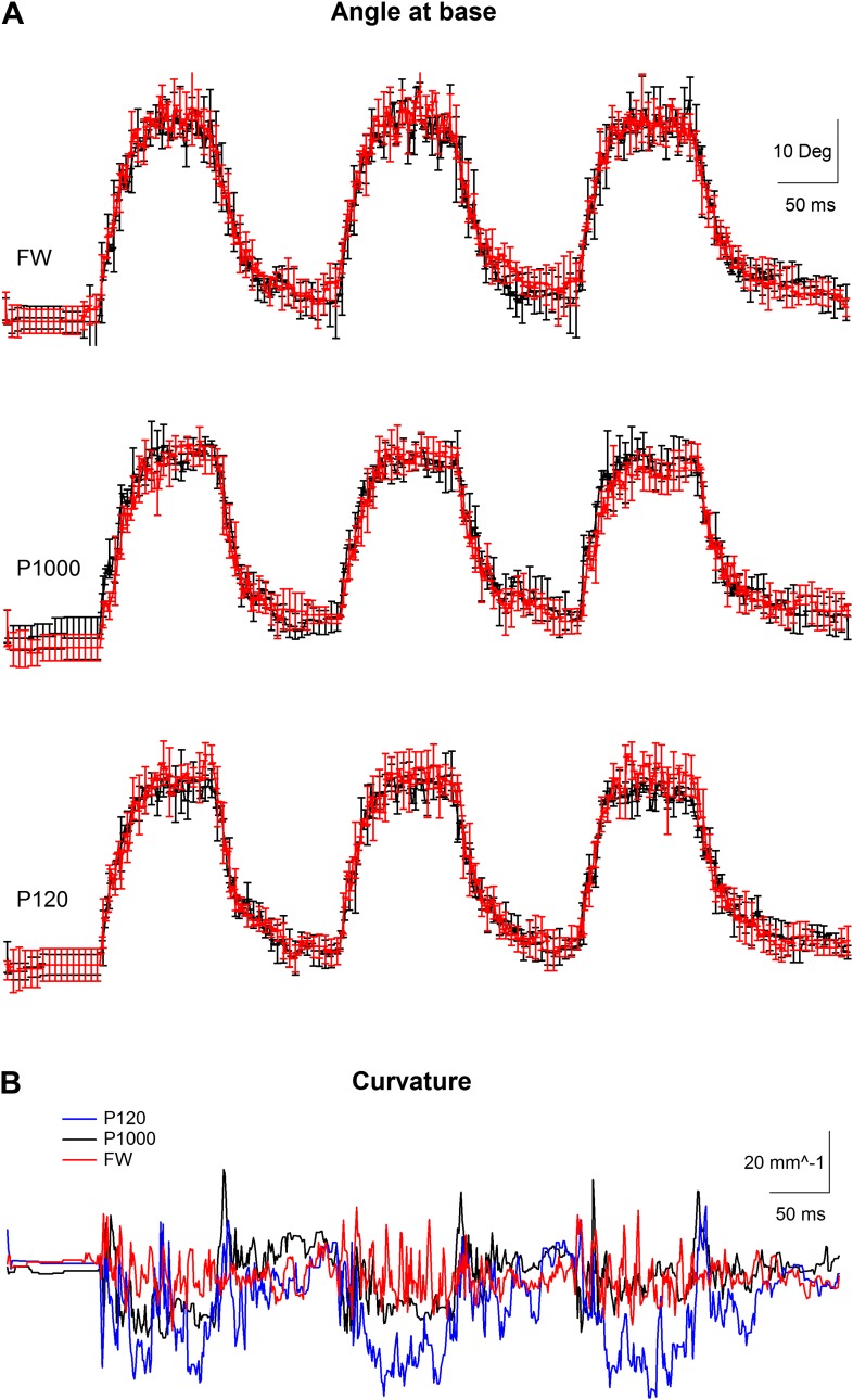 Figure 1—figure supplement 4.