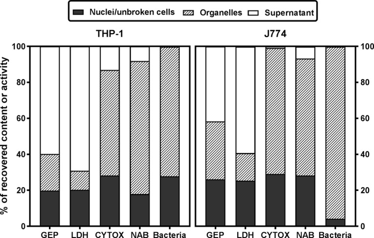 FIG 7