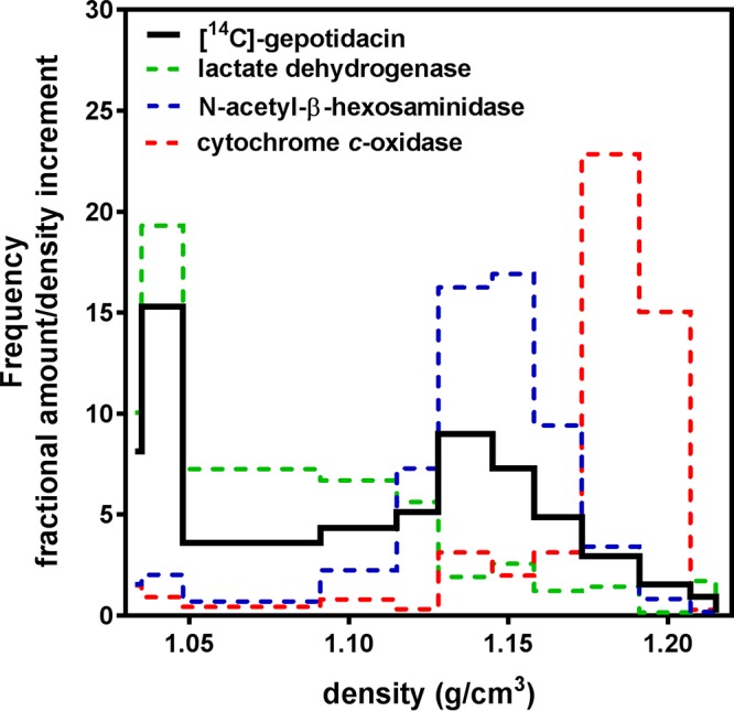 FIG 6