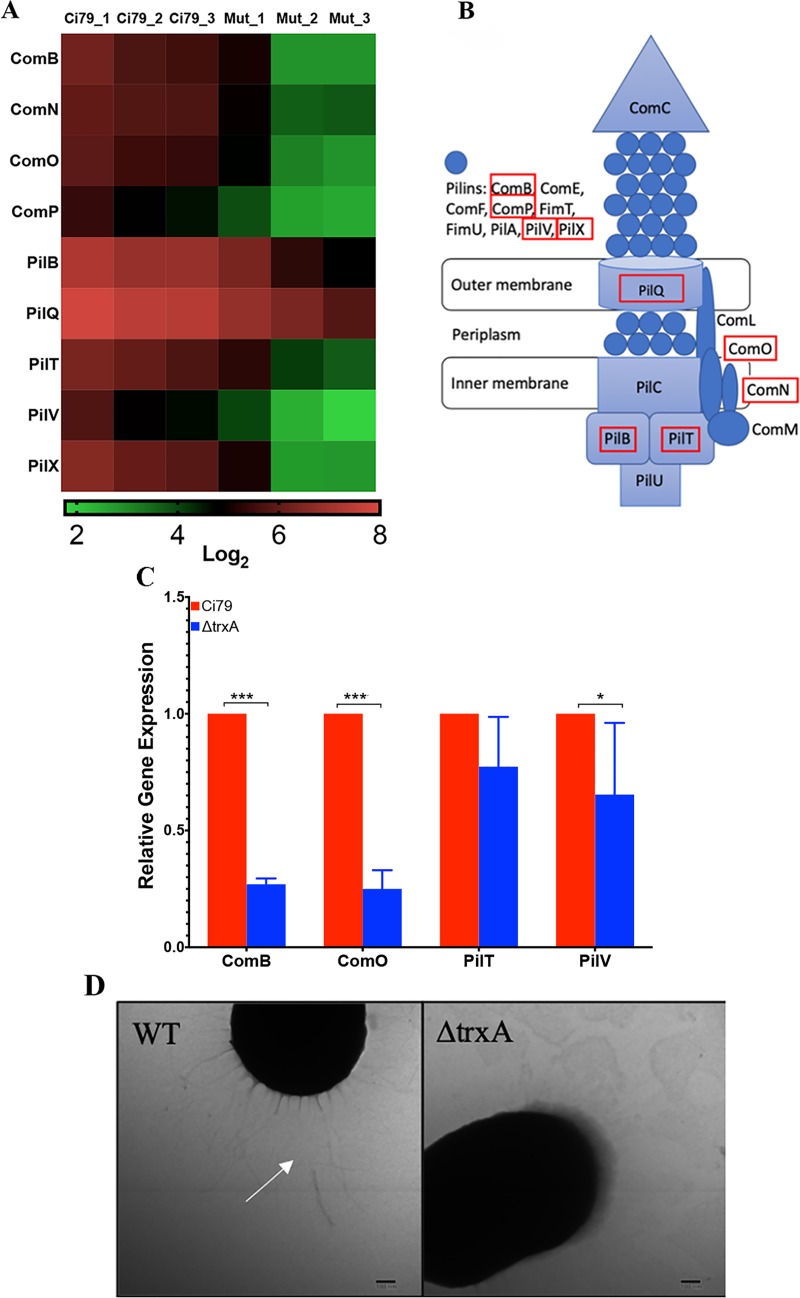 Fig 2