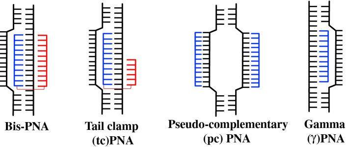 Fig. 2