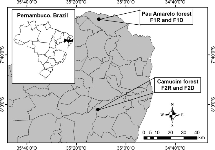 Fig. 1