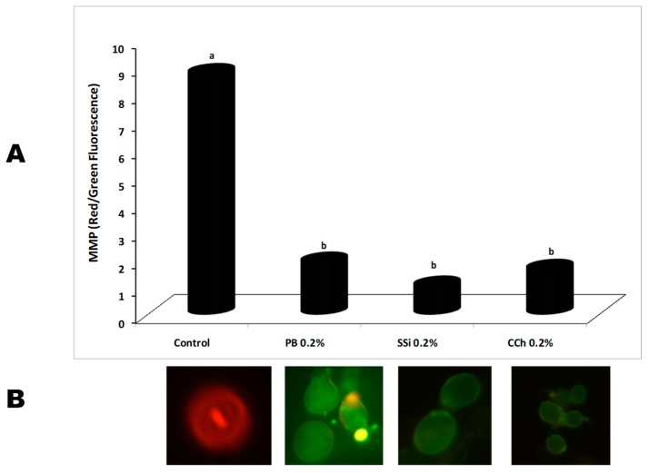 Figure 10